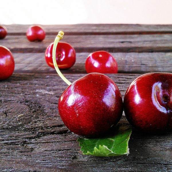 cherries-422468